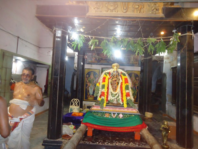 Srirangam_Swami Desikan_Thiruvaadipooram_2013_45