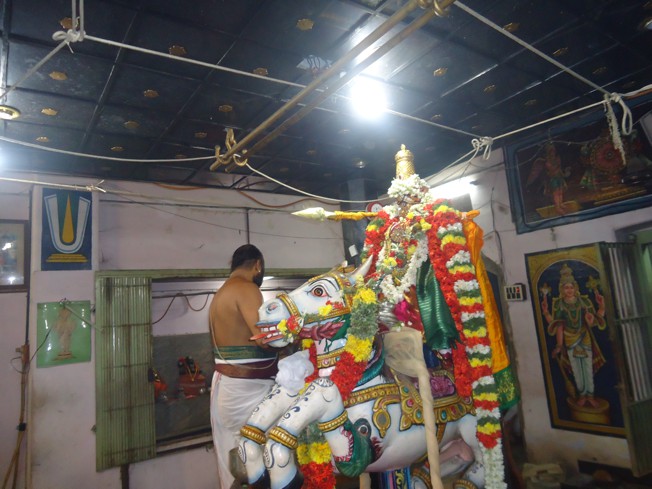 Srirangam_Thiruvaadipooram_Desikan Sannidhi_40