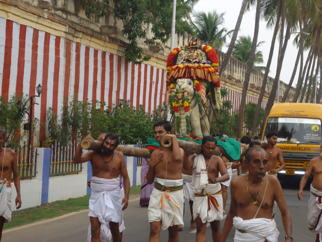 Srirangam_Thiruvaadipooram_day6_03