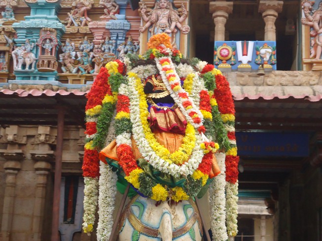 Srirangam_Thiruvaadipooram_day6_17