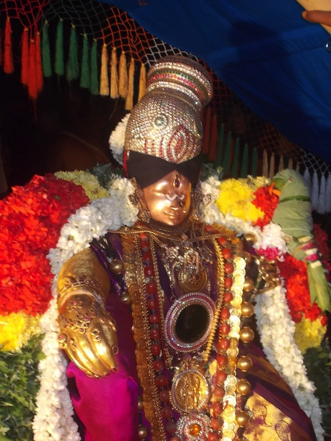 Srivilliputtur_Thiruvaadipooram_2013_23