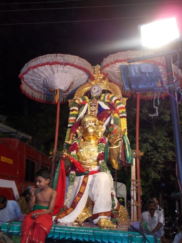 Srivilliputtur_Thiruvaadipooram_day3_10