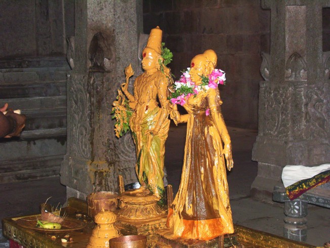 Thirumeyam_Thiruvaadipooram_2013_02
