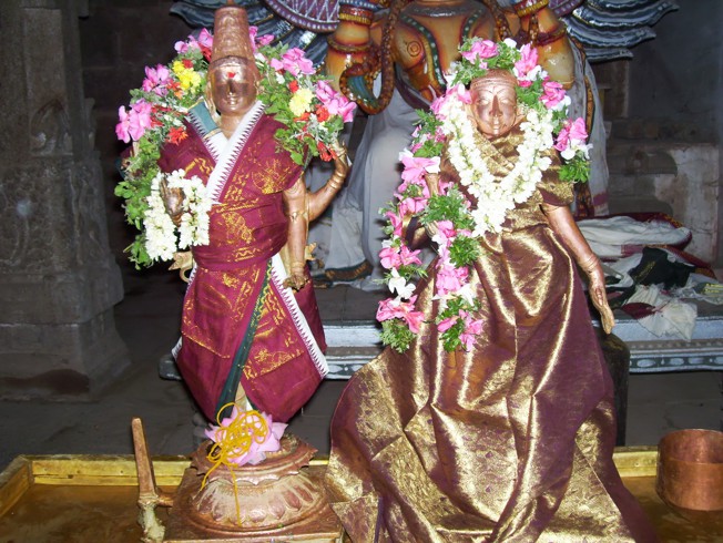 Thirumeyam_Thiruvaadipooram_2013_05