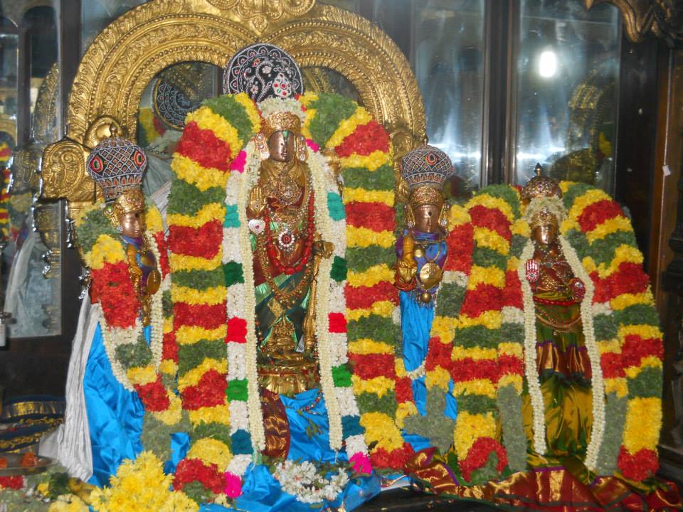 Thirunarayanapuram Thiruvadipooram 2013