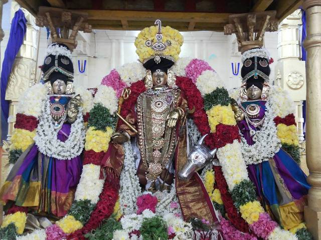 Thiruvaheendrapuram Rajagopalan Purappadu 2013 3