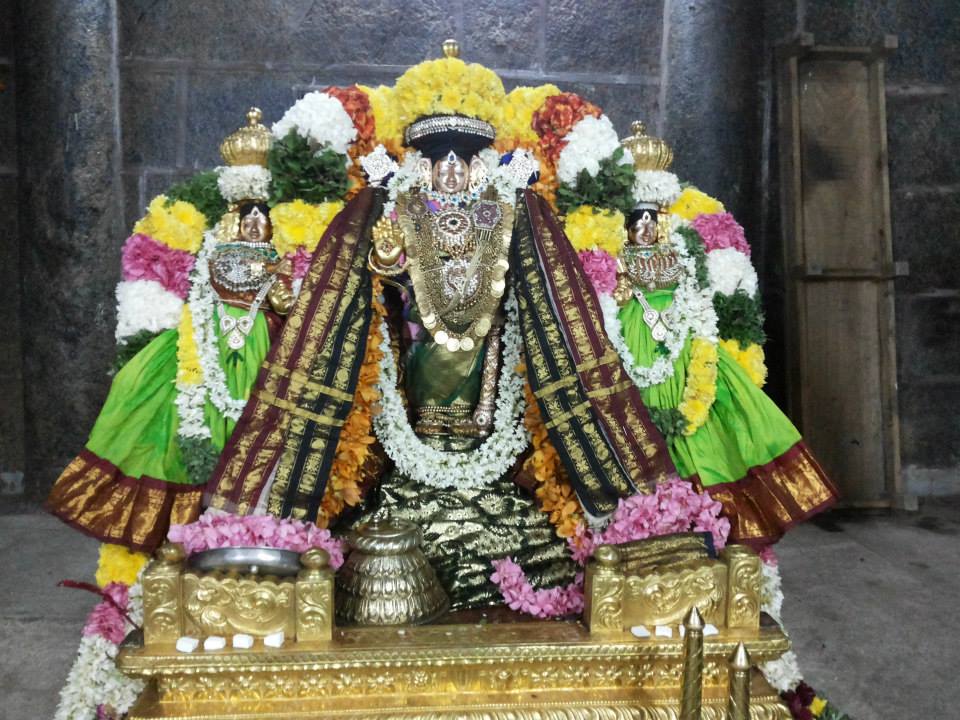 Thiruvahindrapuram_Aadi amavasai_1
