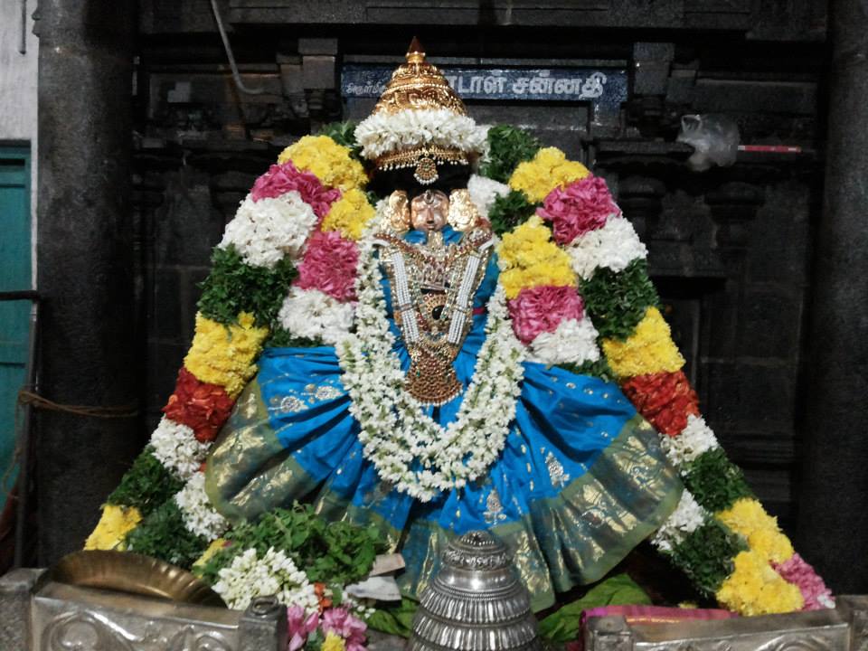 Thiruvahindrapuram_Aadi amavasai_4