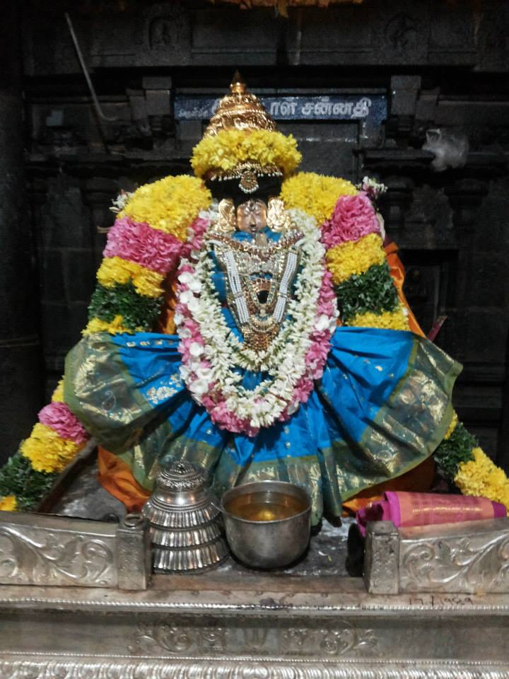 Thiruvahindrapuram_Aadi amavasai_6