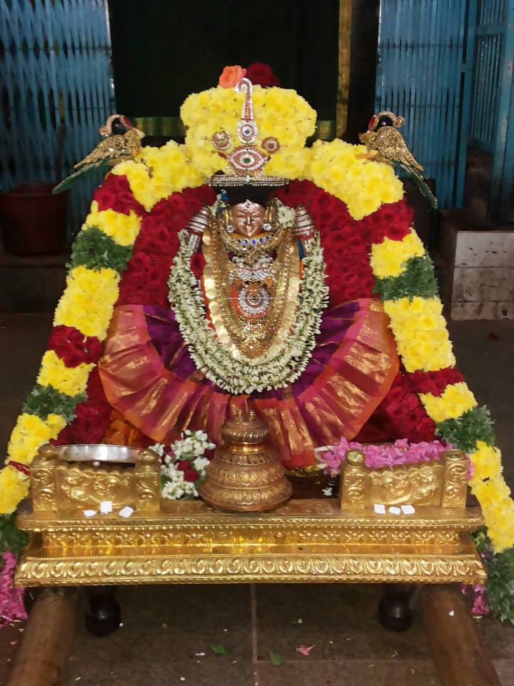 Thiruvahindrapuram_aadi Velli_4