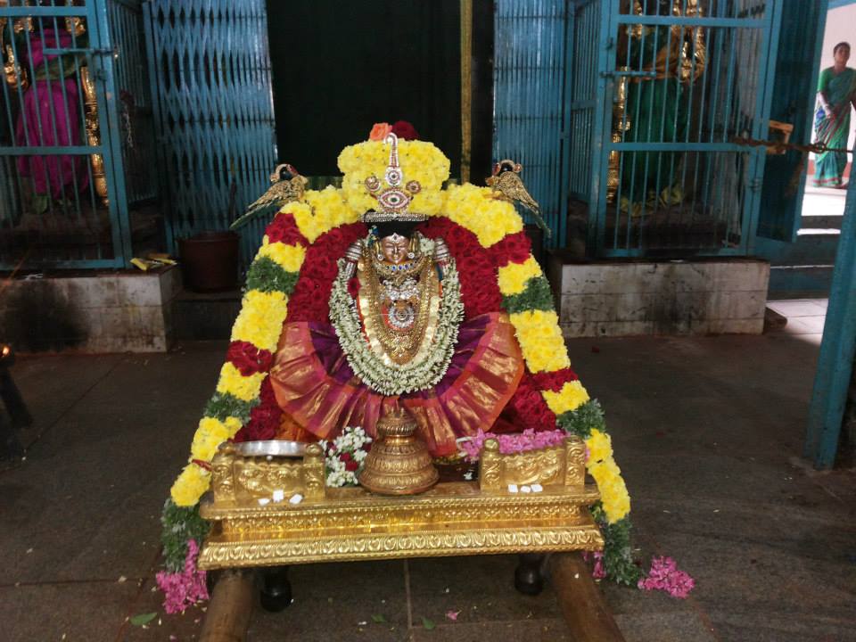 Thiruvahindrapuram_aadi Velli_5