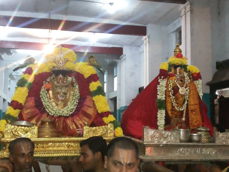 Thiruvahindrapuram_aadi Velli_6