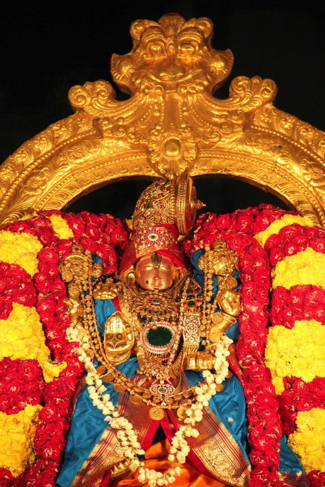 Tirupathi_Govindarajar_Thiruvaadipooram_2013_06