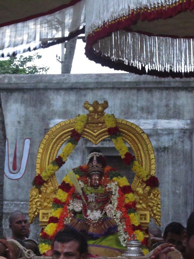 Uthiramerur Sri Anandavalli Thayar Velli Purappadu 2013_02