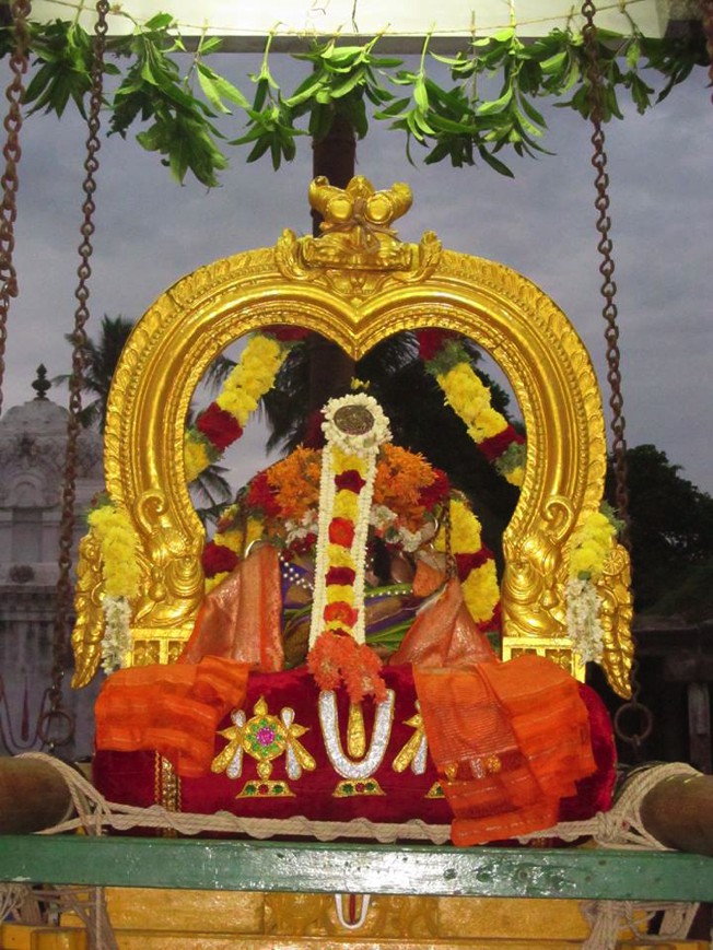 Uthiramerur Sri Anandavalli Thayar Velli Purappadu 2013_03