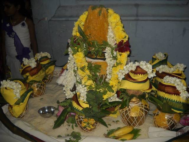 Aminjikarai Srinivasa Perumal Pradhishtai 2013 10