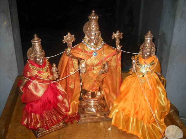 Aminjikarai Srinivasa Perumal Pradhishtai 2013 11