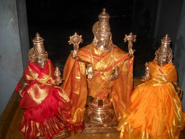 Aminjikarai Srinivasa Perumal Pradhishtai 2013 9