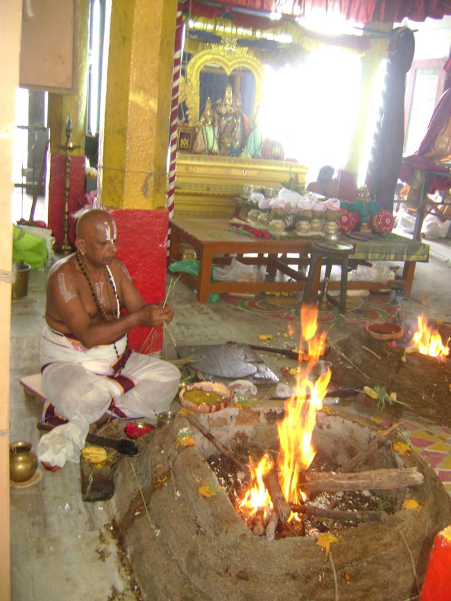 Aminjikarai Varadharaja Perumal  Pavithotsavam day 1 2013-04