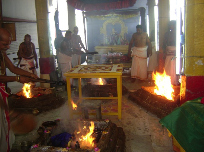 Aminjikarai Varadharaja Perumal  Pavithotsavam day 1 2013-05
