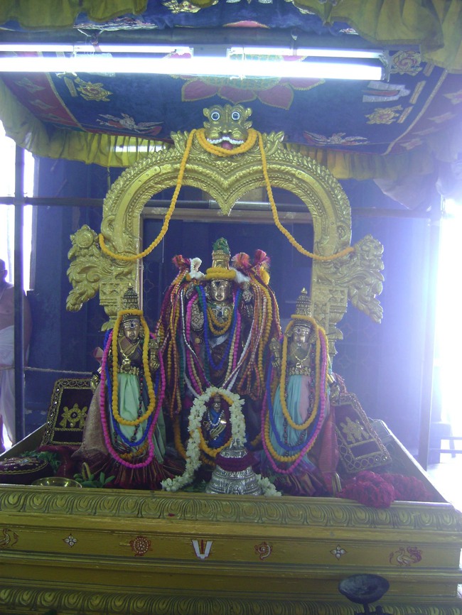 Aminjikarai Varadharaja Perumal  Pavithotsavam day 1 2013-07