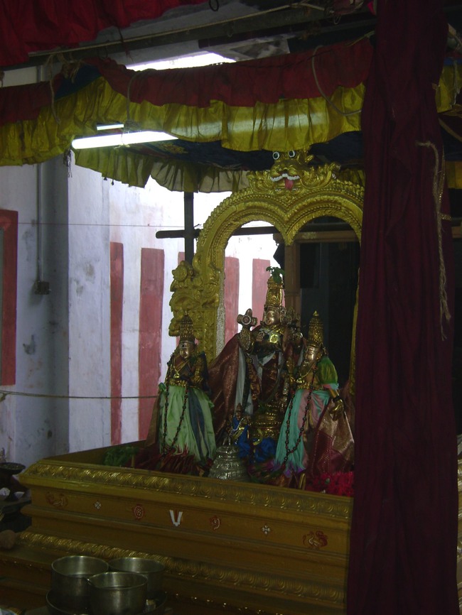 Aminjikarai Varadharaja Perumal  Pavithotsavam day 1 2013-24