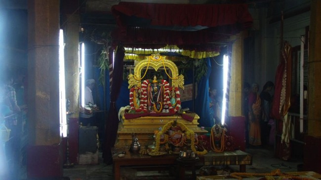 Aminjikarai Varadharaja Perumal Pavithrotsavam 2013-07