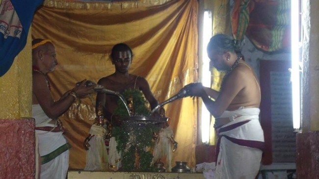 Aminjikarai Varadharaja Perumal Pavithrotsavam 2013-20