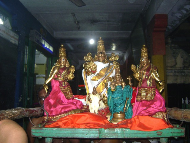 Aminjikarai Varadharaja Perumal Pavithrotsavam day 1 2013 -08