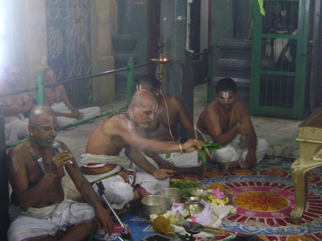 Aminjikarai Varadharaja Perumal Pavithrotsavam day 1 2013 -11