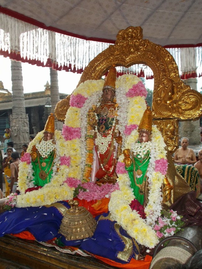 Kanchipuram Purattasi Maasa Purappadu-05