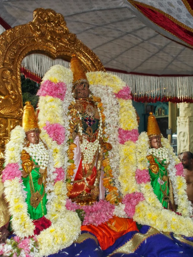 Kanchipuram Purattasi Maasa Purappadu-07
