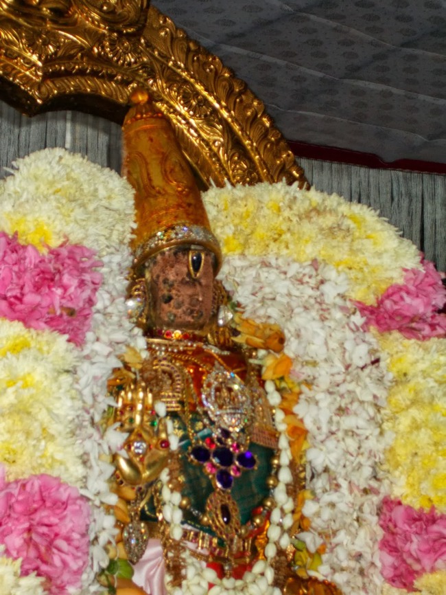 Kanchipuram Purattasi Maasa Purappadu-08