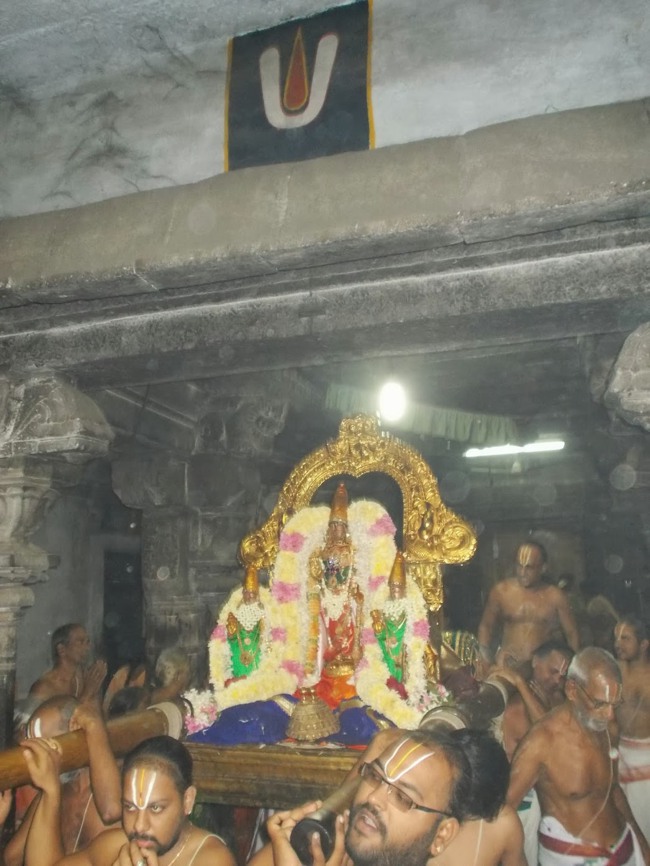Kanchipuram Purattasi Maasa Purappadu-12