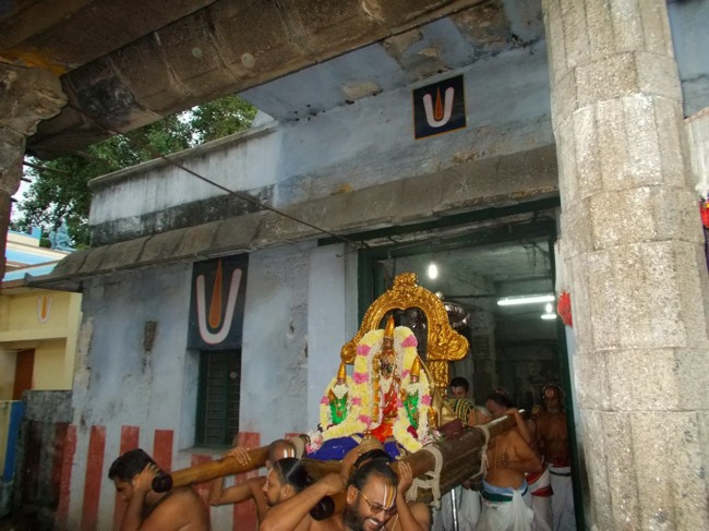 Kanchipuram Purattasi Maasa Purappadu-13