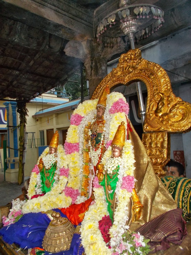 Kanchipuram Purattasi Maasa Purappadu-14