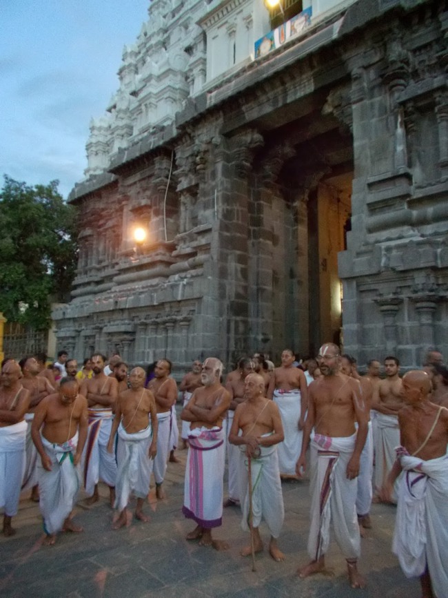Kanchipuram Purattasi Maasa Purappadu-16