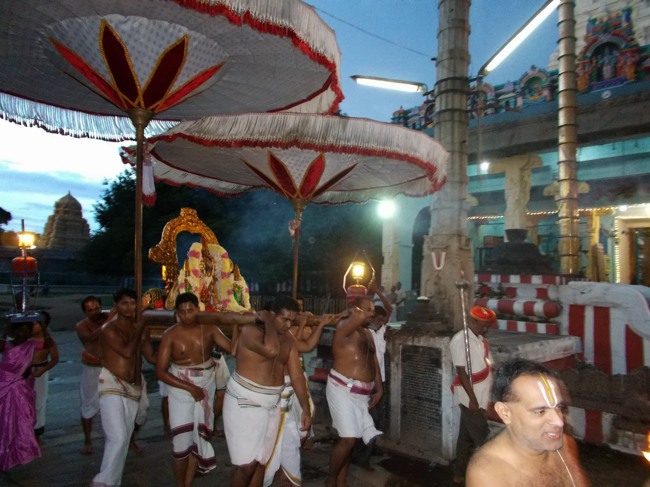 Kanchipuram Purattasi Maasa Purappadu-18