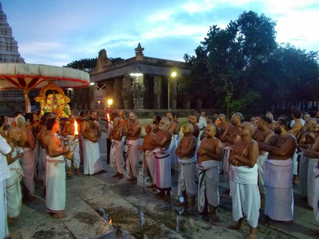 Kanchipuram Purattasi Maasa Purappadu-19
