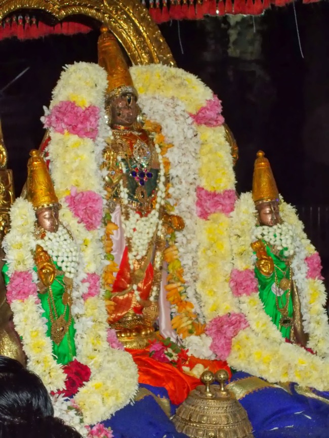 Kanchipuram Purattasi Maasa Purappadu-21