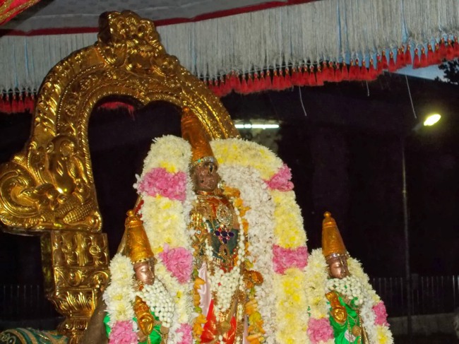 Kanchipuram Purattasi Maasa Purappadu-22