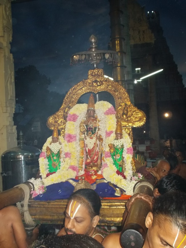Kanchipuram Purattasi Maasa Purappadu-25