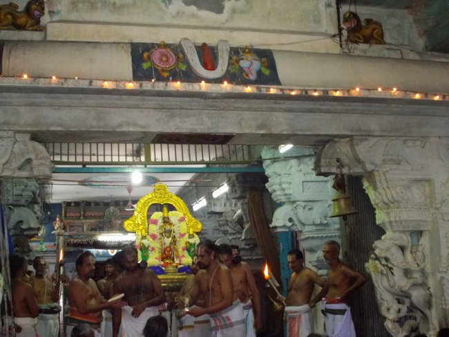Kanchipuram Purattasi Maasa Purappadu-28