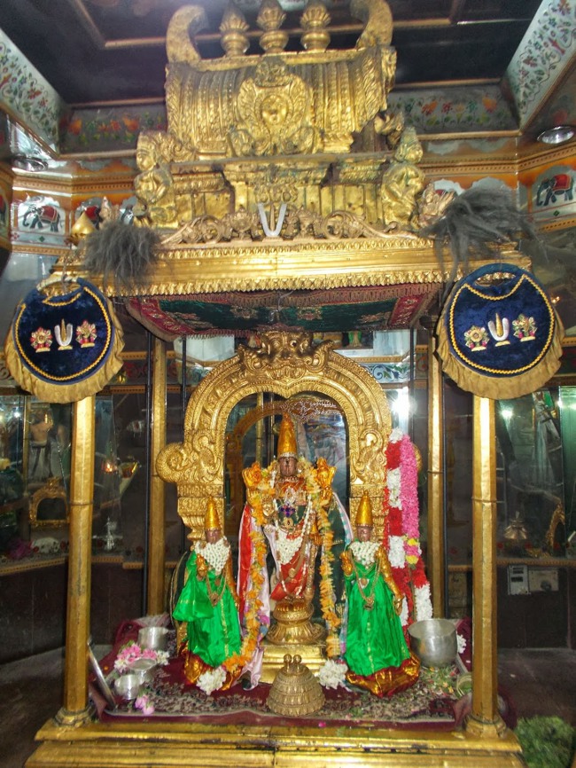 Kanchipuram Purattasi Maasa Purappadu-29