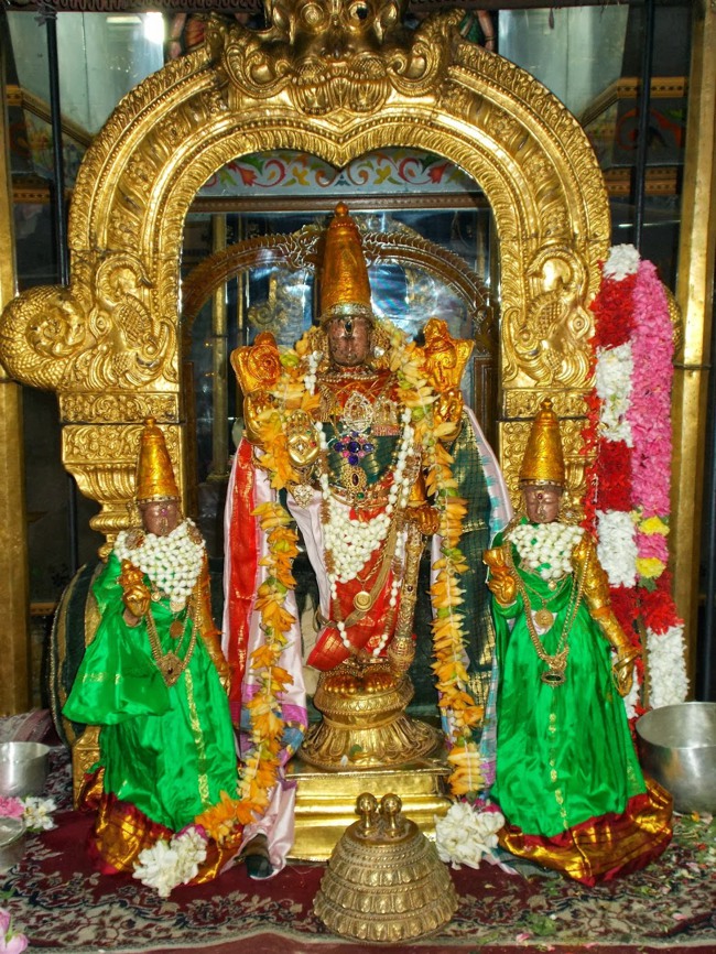 Kanchipuram Purattasi Maasa Purappadu-30