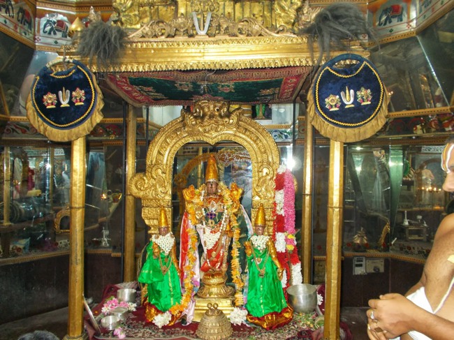 Kanchipuram Purattasi Maasa Purappadu-31
