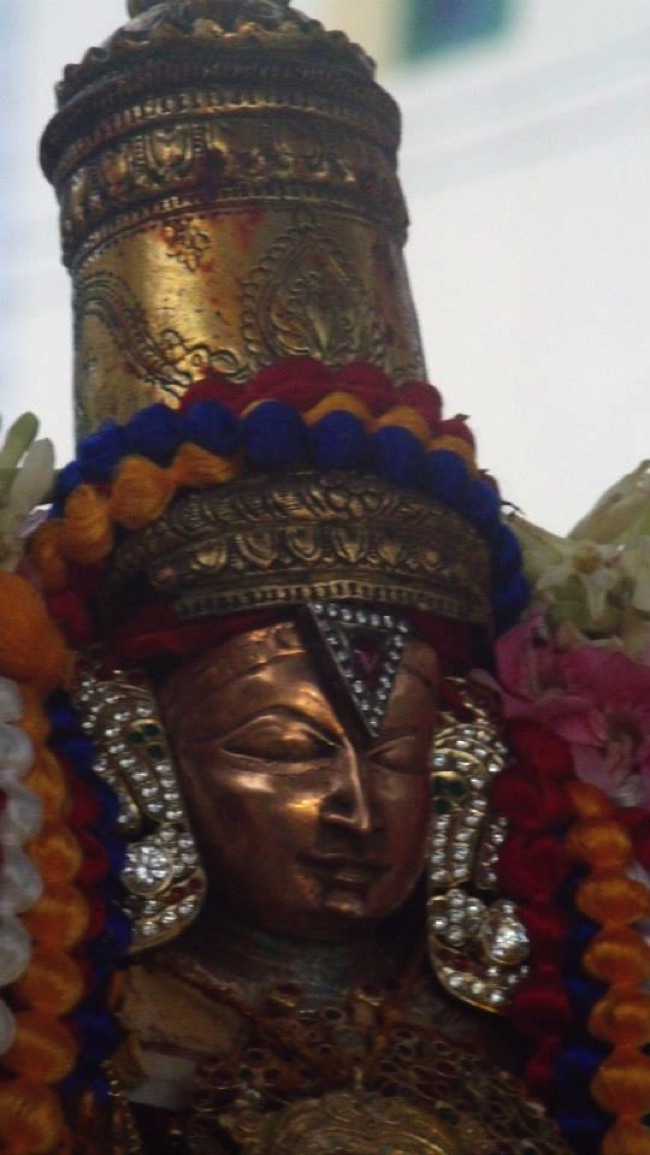 Kooram Adhikesava Perumal  Pavithotsavam day 3 2013-08