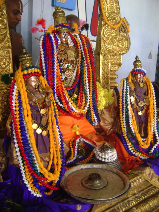 Kooram Adhikesava Perumal Pavithrotsavam day 1 2013 -08
