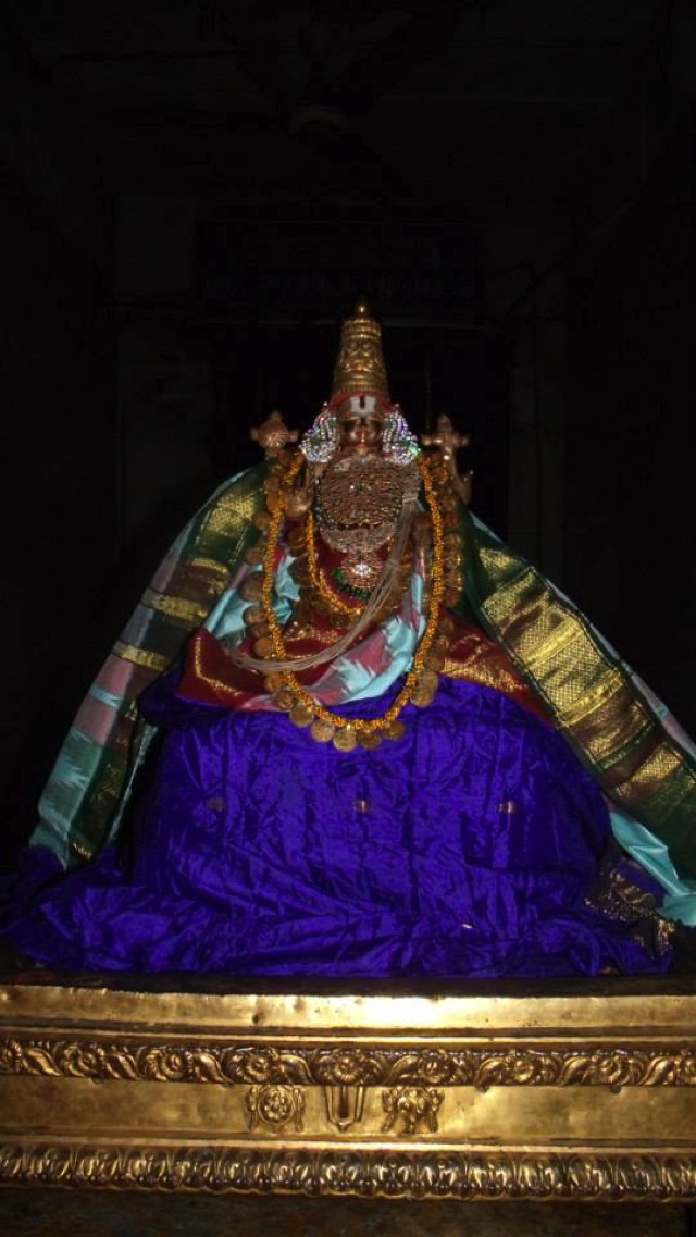 Kooram Adhikesava Perumal Pavithrotsavam day 1 2013 -21