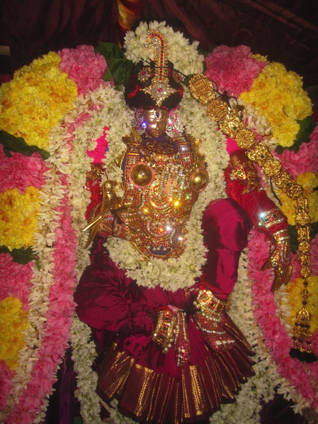 Nungambakkam Venkatesa Perumal Brahmotsavam day 5 2013 -00